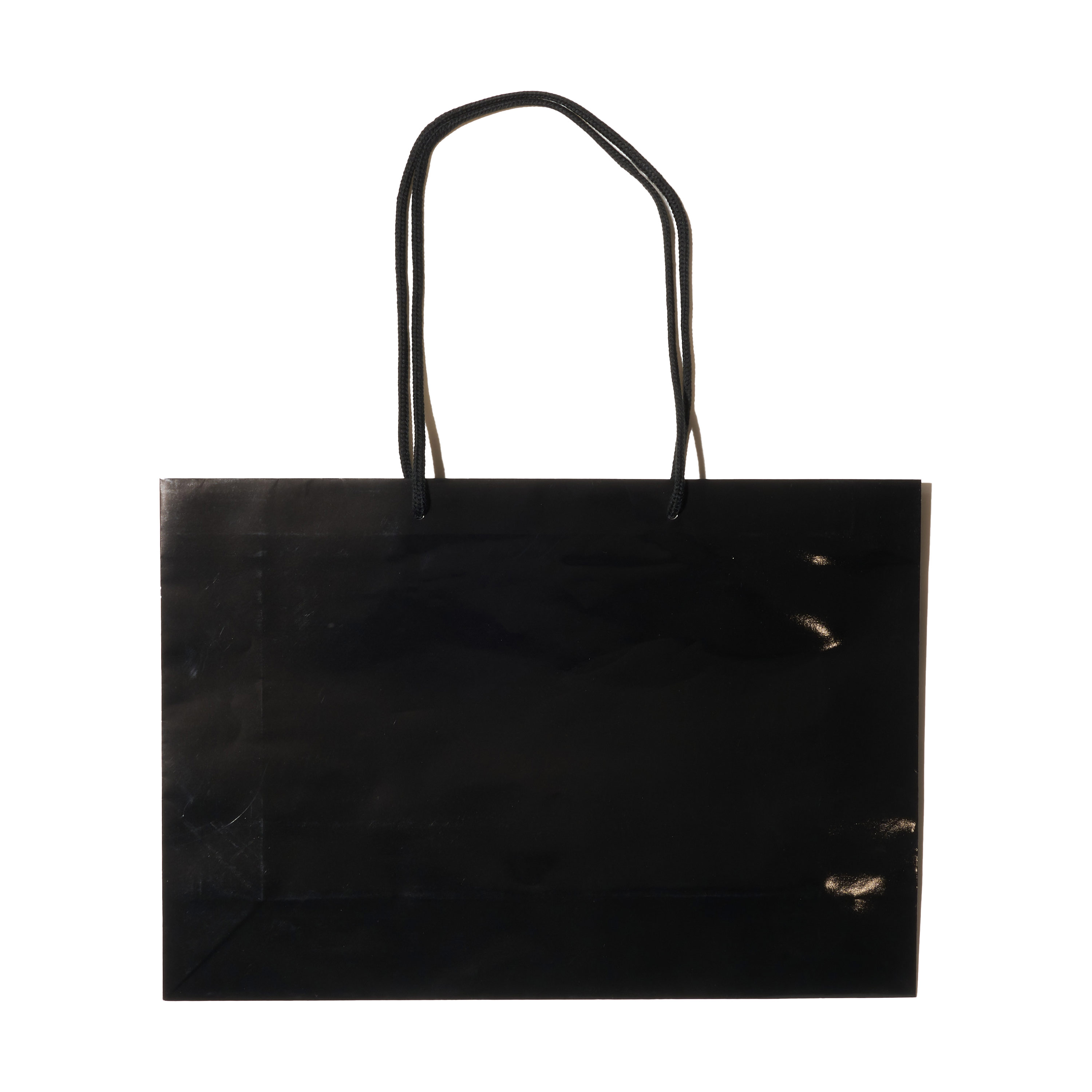 シャイニーバッグ L-W