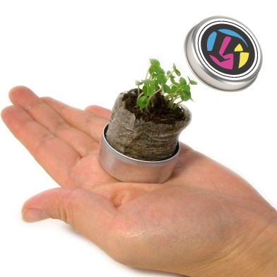 ベビープランツ　ハーブのミニ栽培キット