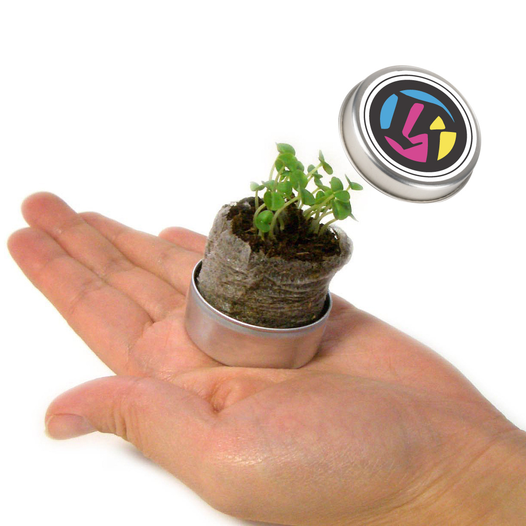 ベビープランツ　ハーブのミニ栽培キット