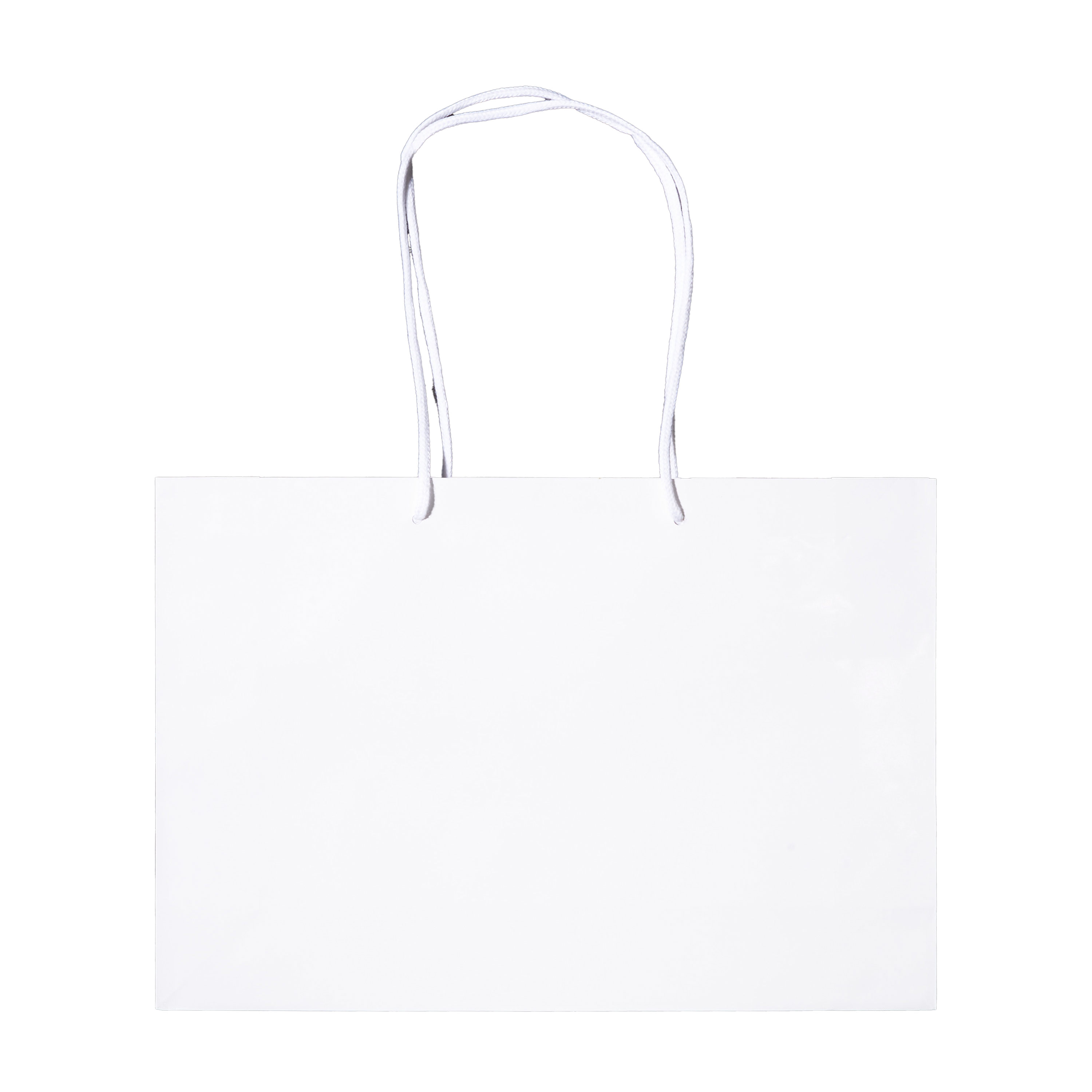 シャイニーバッグ L-W