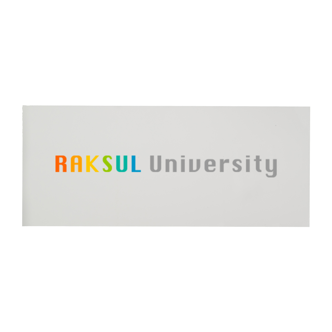 車用マグネットシート250×600㎜