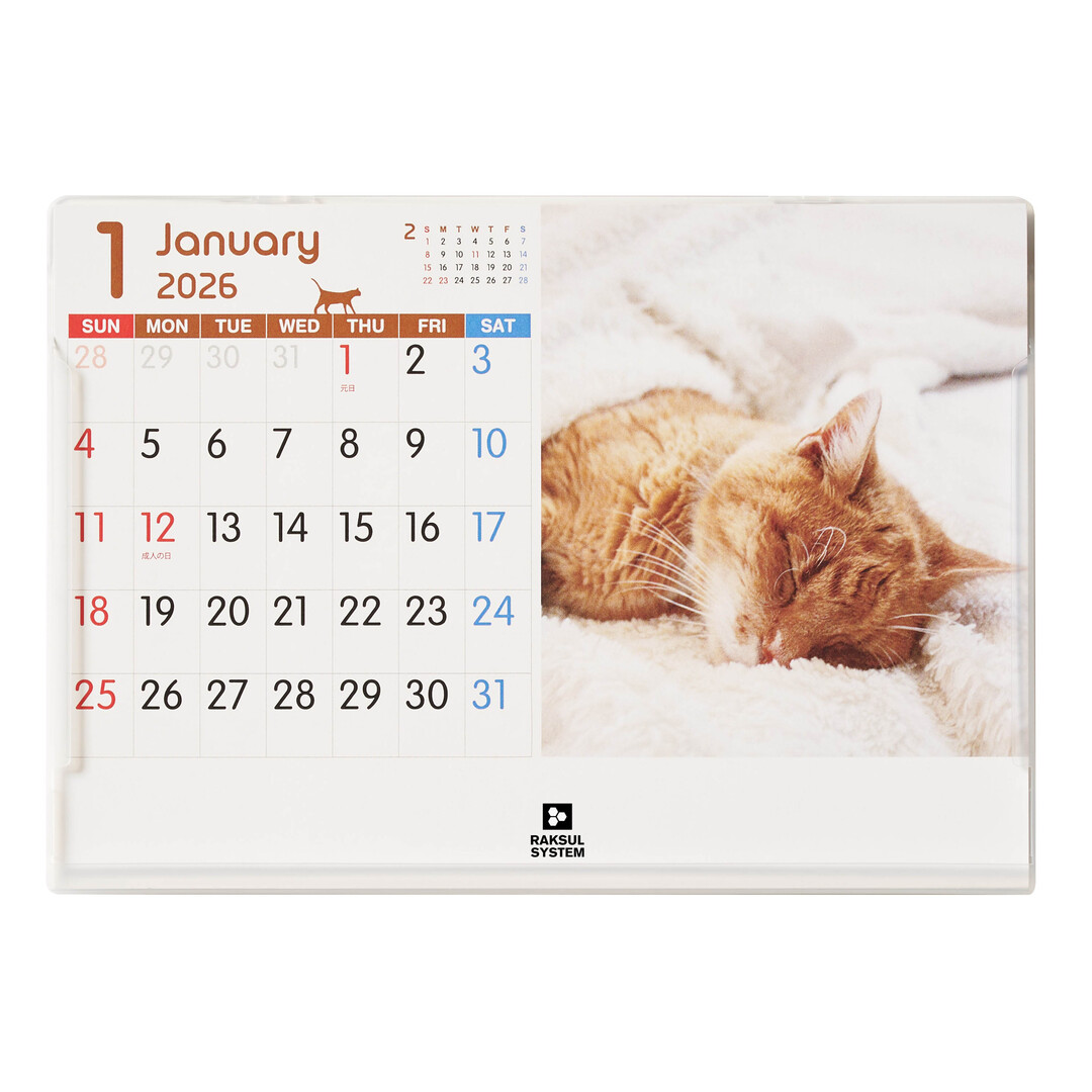 キャットデスク(ケース) KJ-200