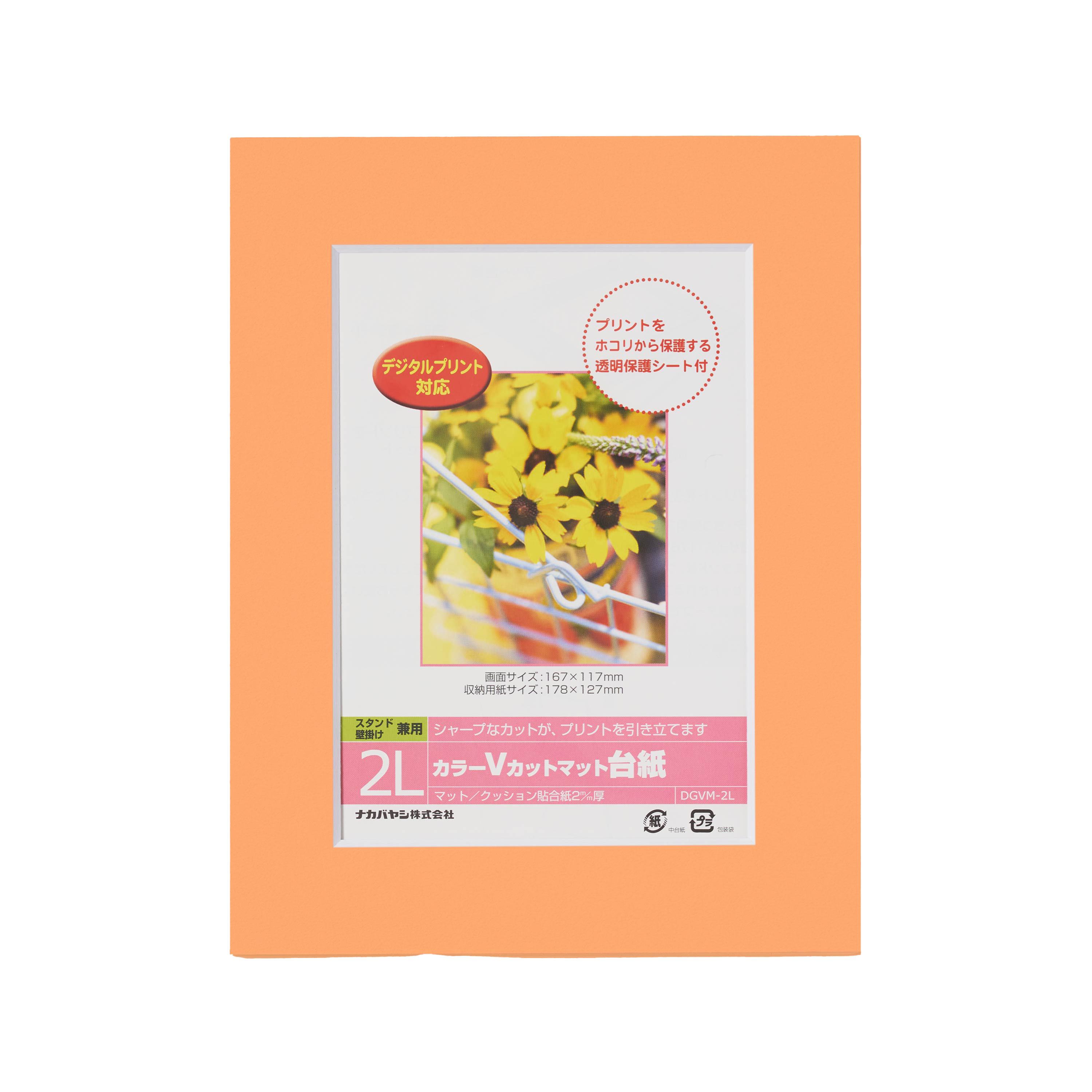 6d086138-5678-46d6-bee4-