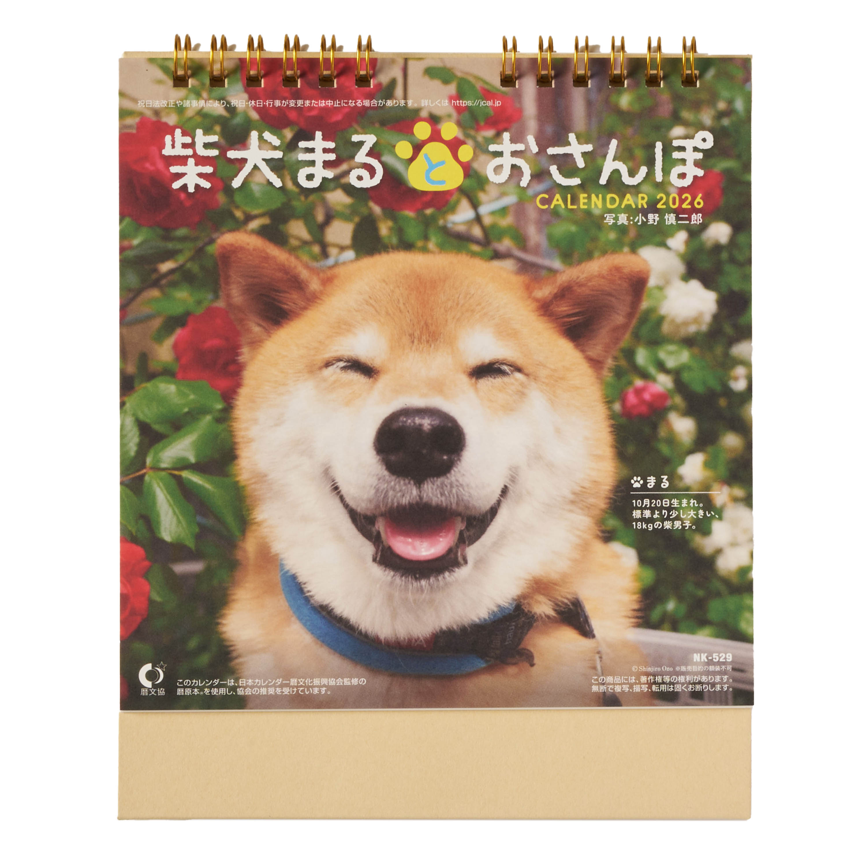 卓上柴犬まるとおさんぽ NK-529