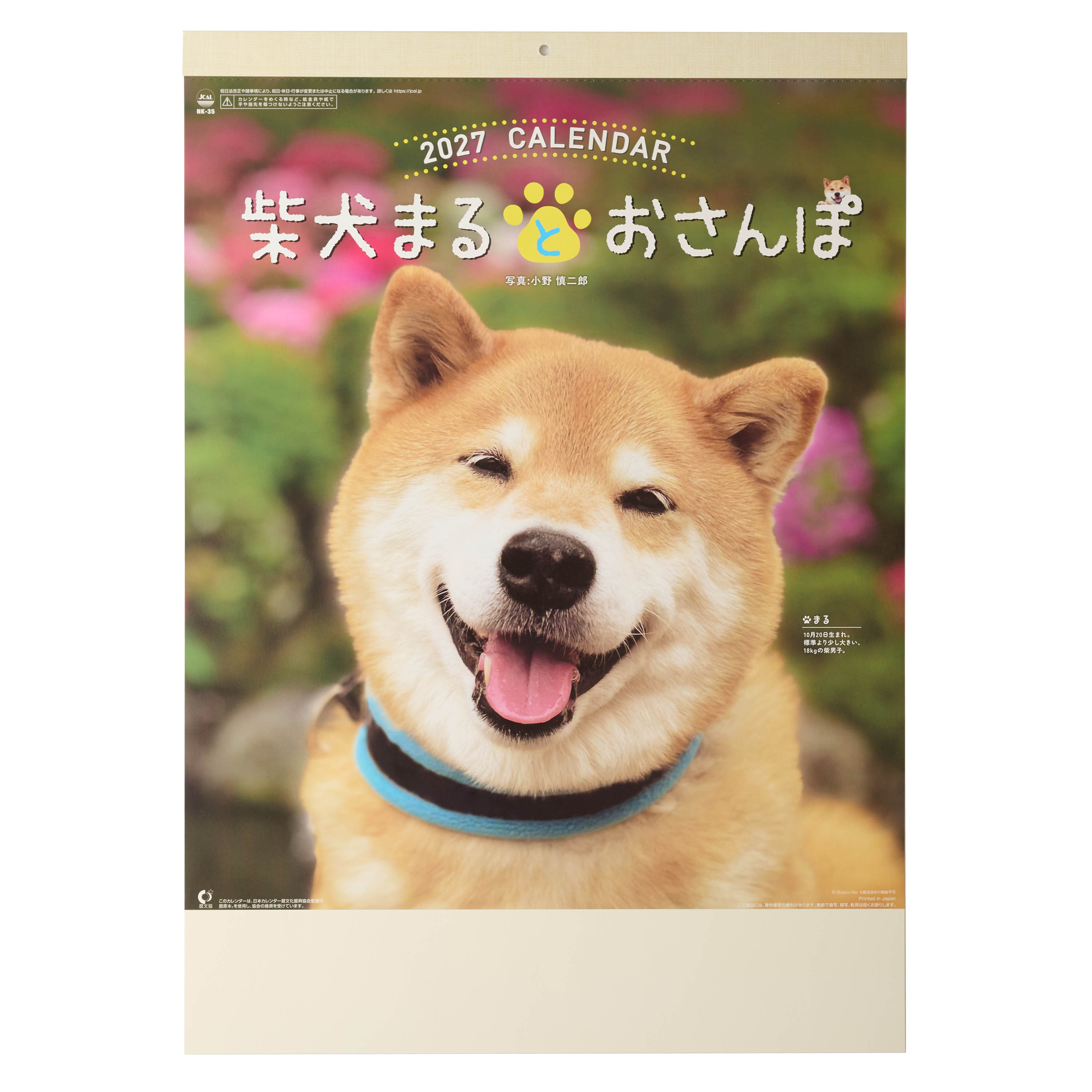柴犬まるとおさんぽカレンダー 壁掛け NK-35