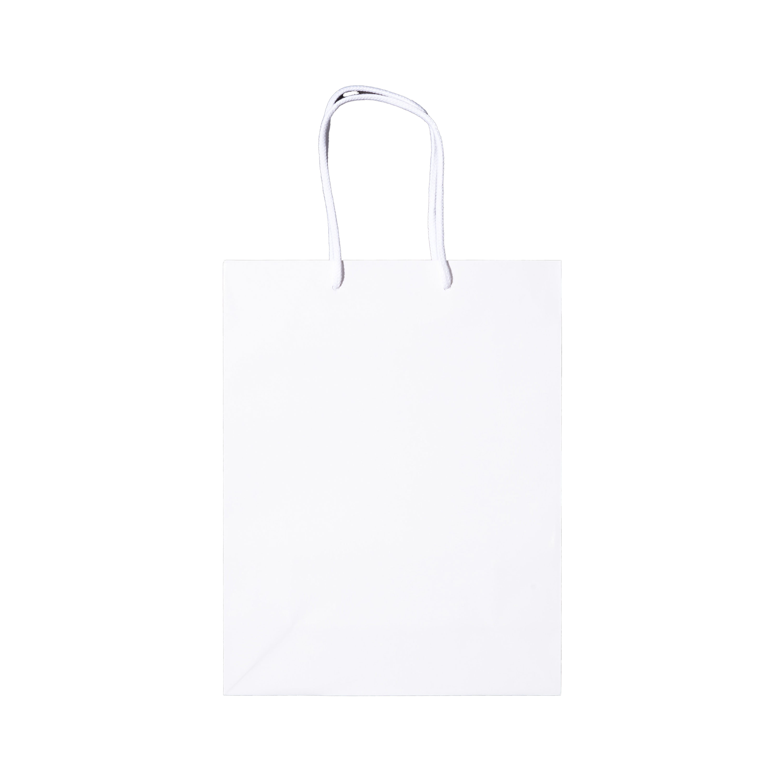 シャイニーバッグ М