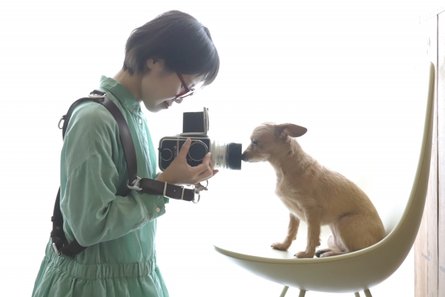 愛犬の写真