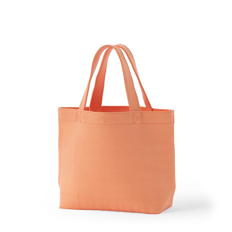 ミニキャンバスランチトート(S) コロリド