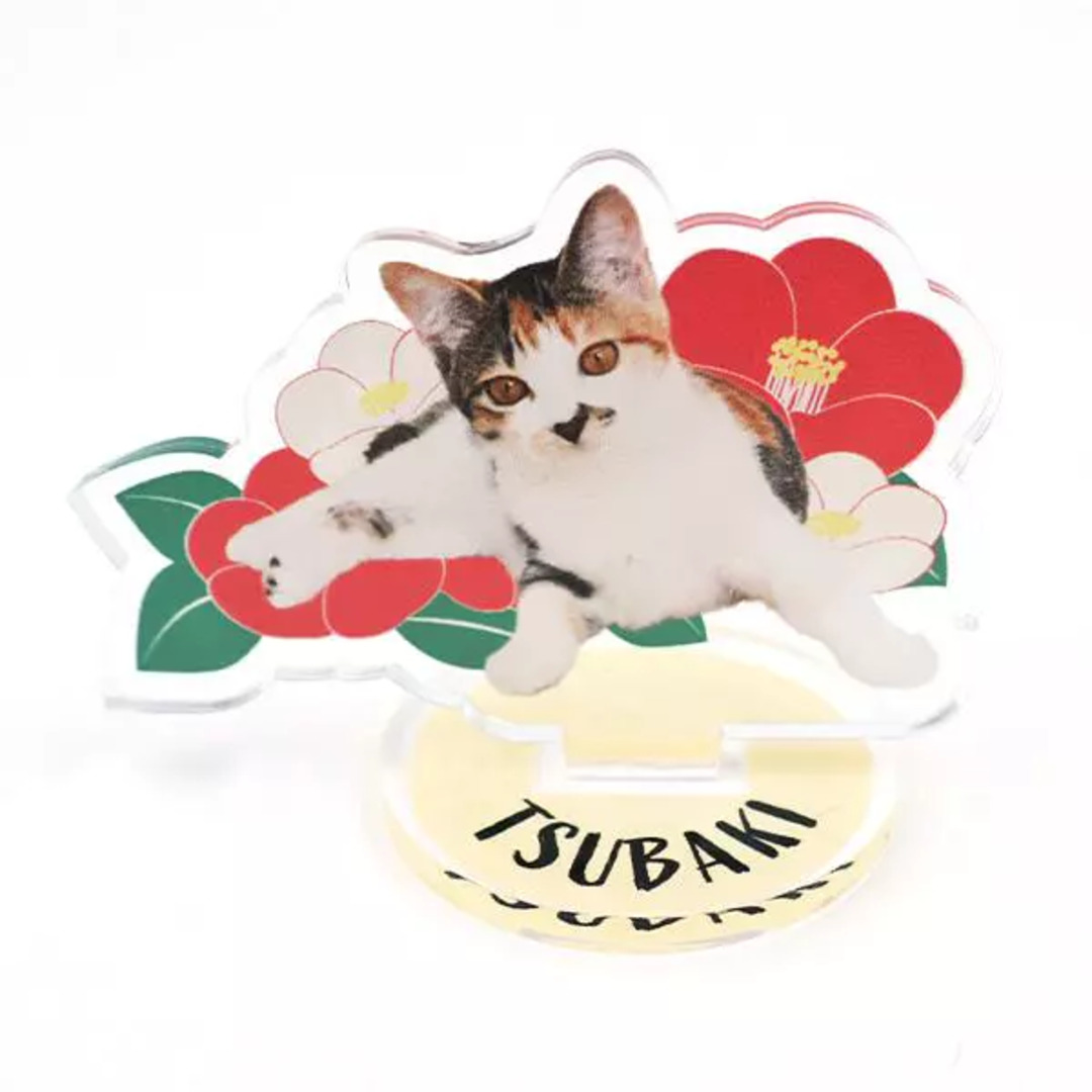 フリーカット横型アクリルスタンド 3mm厚