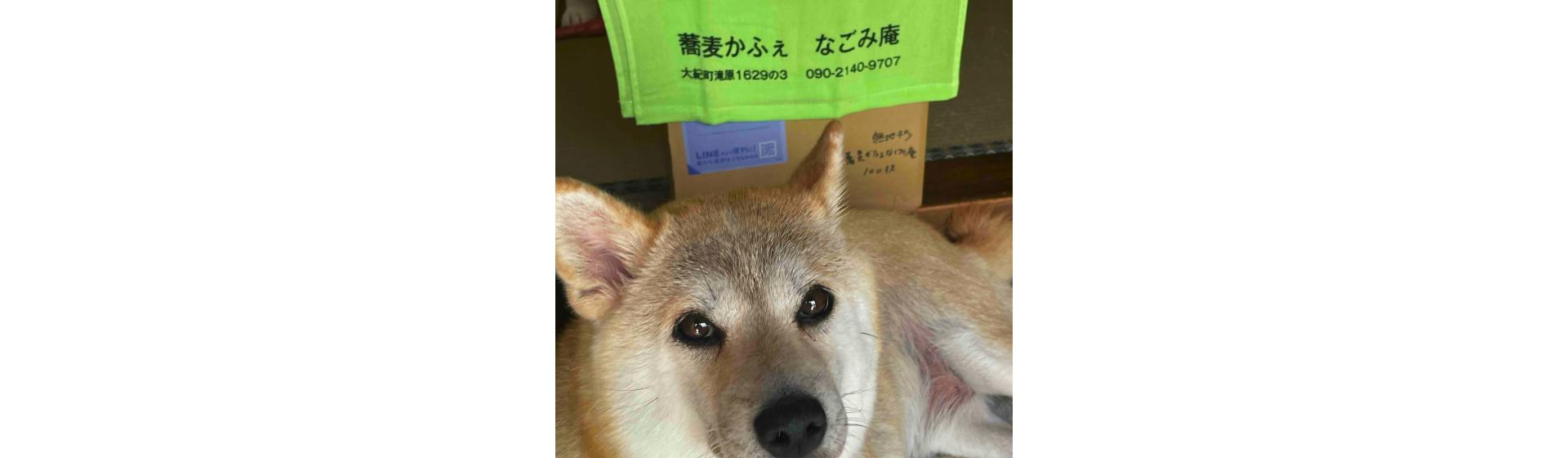 そばかふぇ なごみ庵様 名入れタオル﻿制作事例