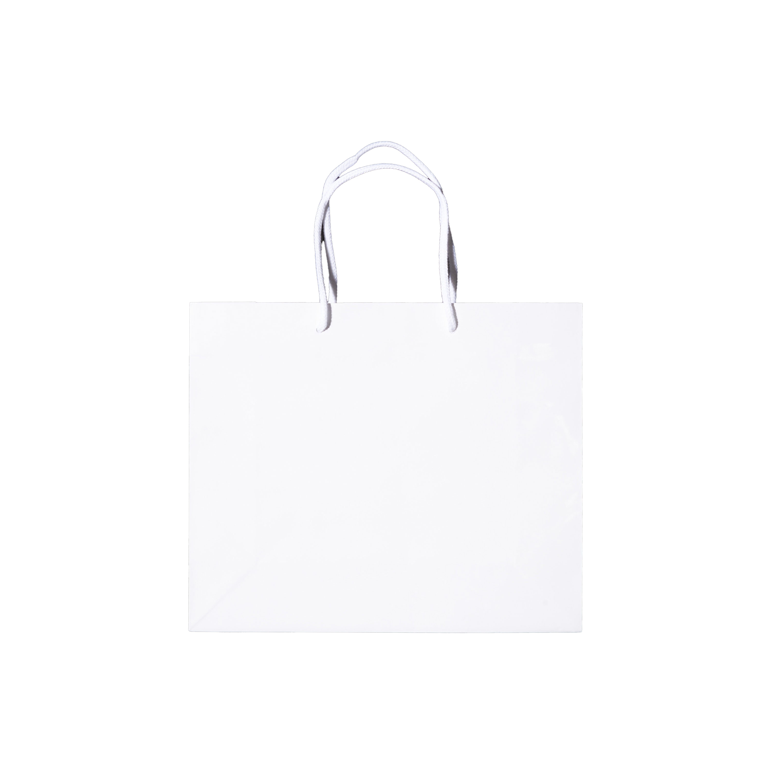 シャイニーバッグ M-W