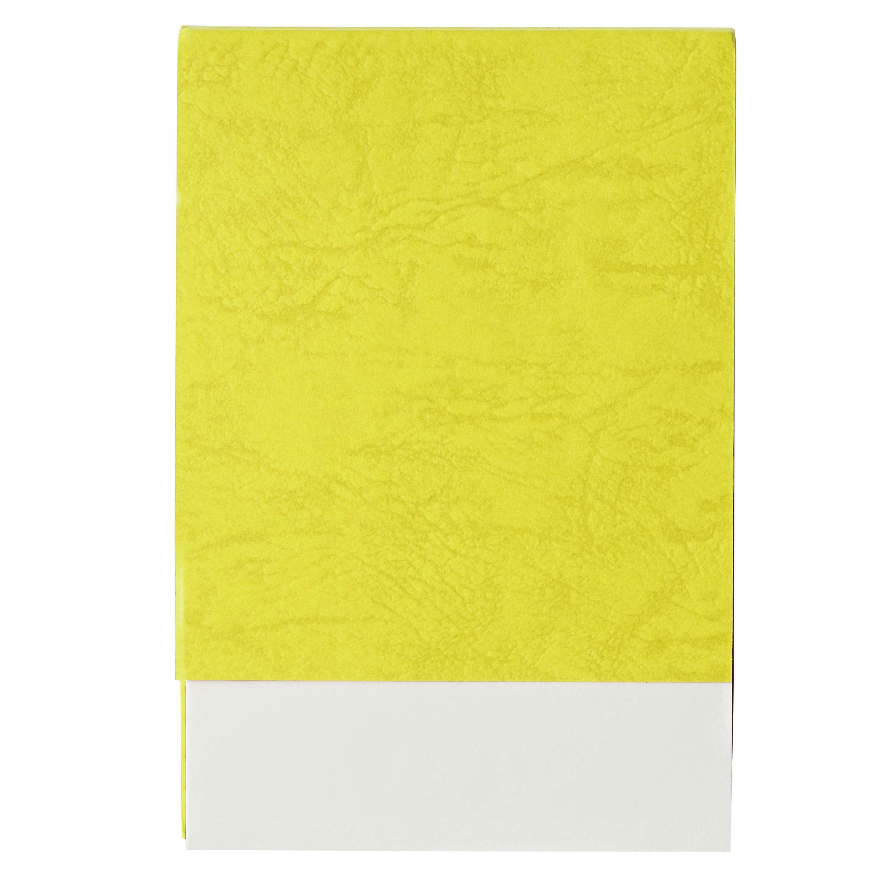 レザックメモ80P (全ページ印刷)