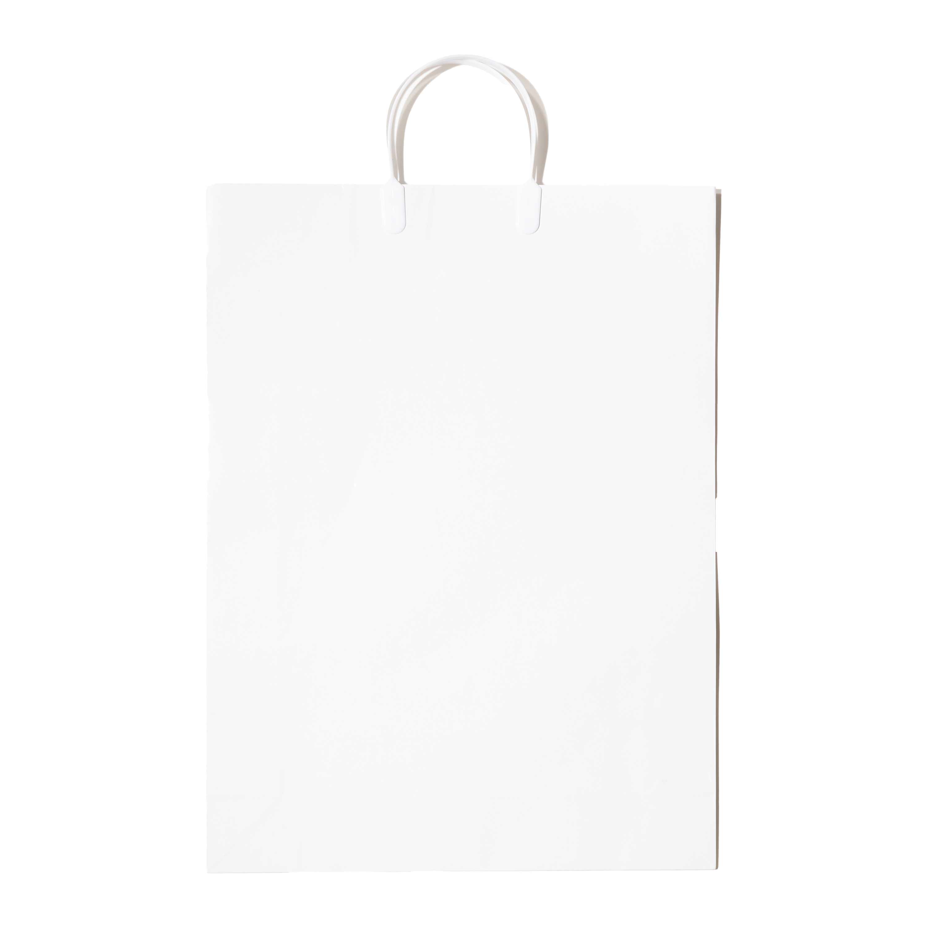 NEWアクティブバッグ LP