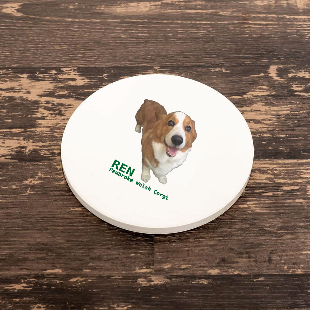 超希少品】【3枚セット】 SCANDAL HARUNA オリジナルコースター