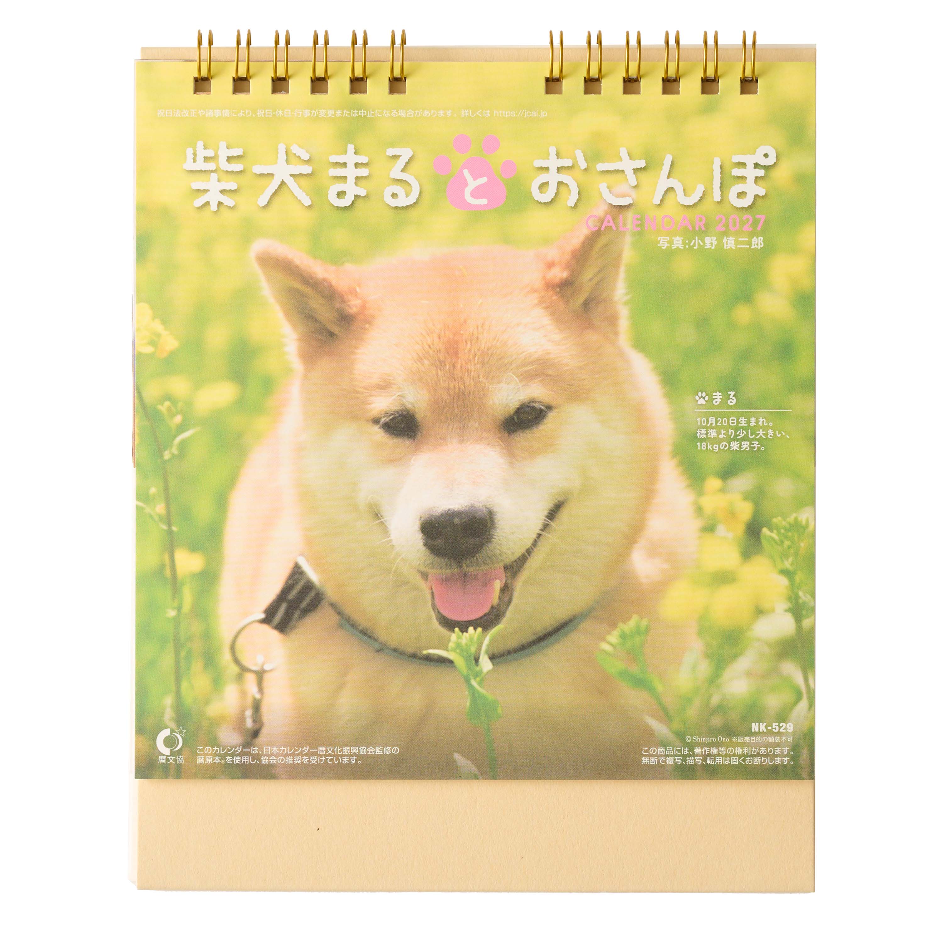 卓上柴犬まるとおさんぽ カレンダー NK-529