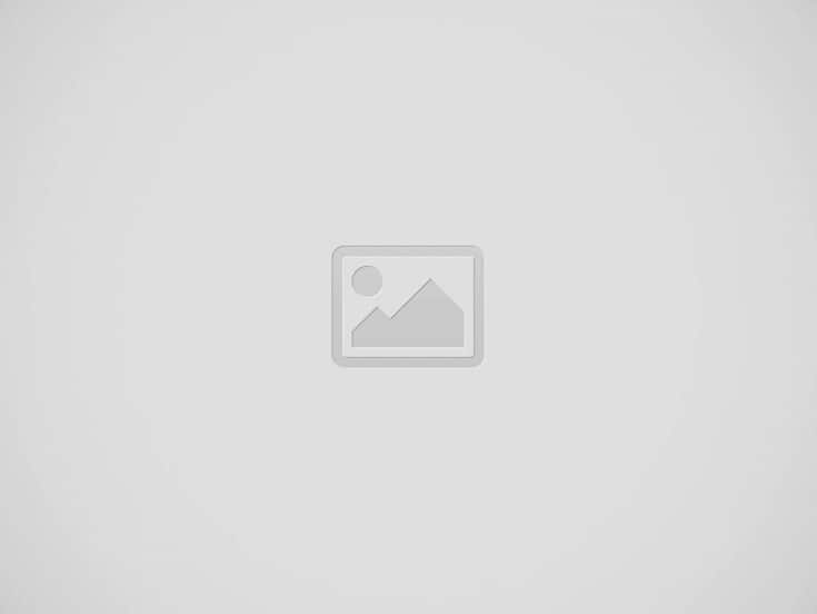 室内用マグネットシート w65×h65mm