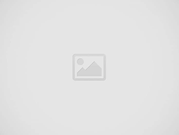 室内用マグネットシート丸型 w65×h65mm画像